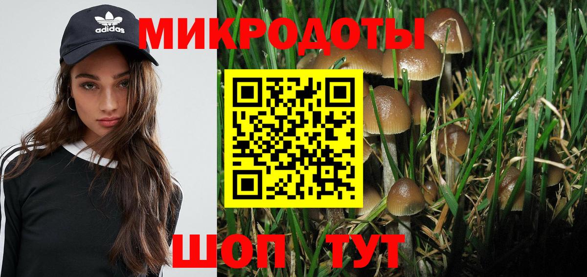 Псилоцибиновые грибы MAGIC MUSHROOMS  Псилоцибиновые грибы Psilocybine cubensis  Киржач  Вход с VPN 