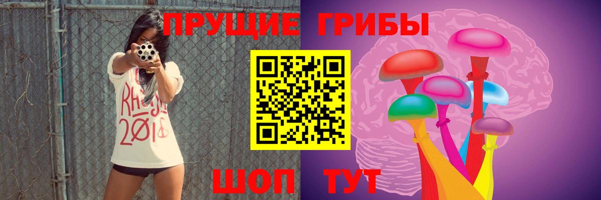 Псилоцибиновые грибы Psilocybe Киржач